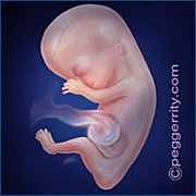 Third month of being pregnant