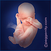 Seventh month of being pregnant