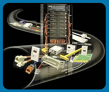 Sistema Operativo en red y distribución