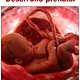 Desarrollo prenatal