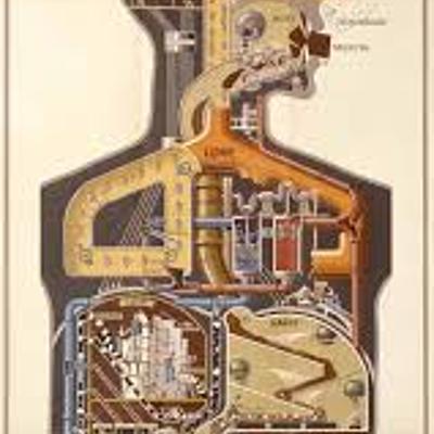 Timeline: Biología II - 2019 - FCAI UNCUYO