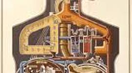 Timeline: Biología II - 2019 - FCAI UNCUYO