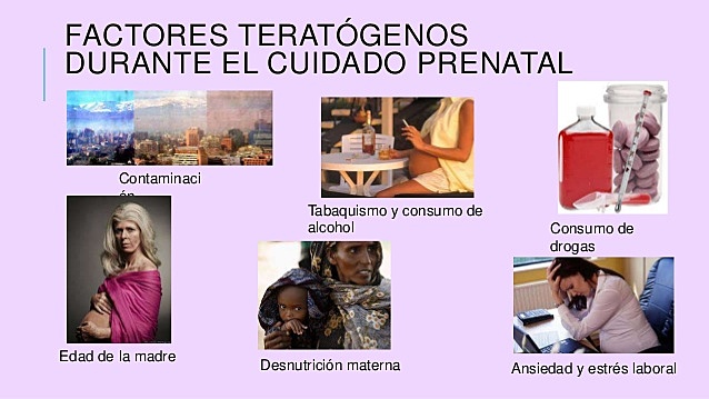 INFLUENCIAS PERIODO PRENATAL