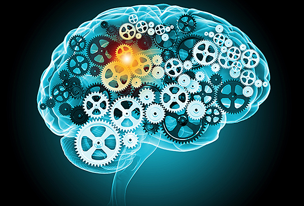 Humanismo 2.0 Hechos significativos