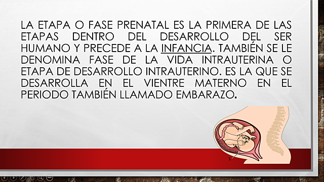 Etapa Prenatal