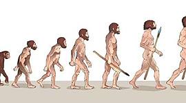 Timeline: la evolución del hombre