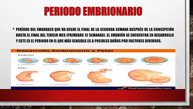 Período embrionario