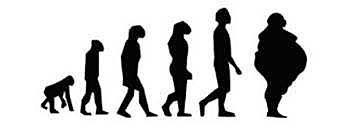 Transición alimentaria