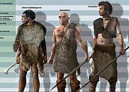 Homo sapiens cromagnon