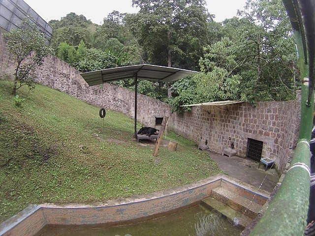 Primera Estación Habitad Oso de Anteojos
