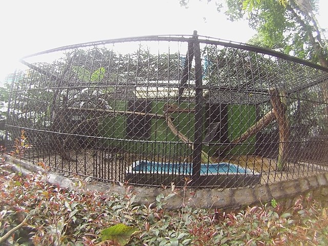 Hábitat Tigrillo Oncilla