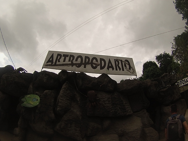 Llegada al Artropodario