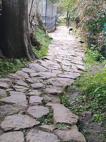 Sendero Museo Fosiles