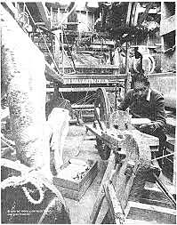 Los primeros derechos de propiedad en México