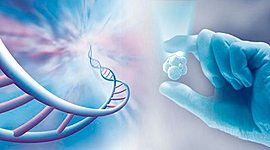 Timeline: Historia de la bioètica