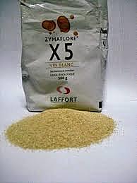 Levaduras vínicas secas