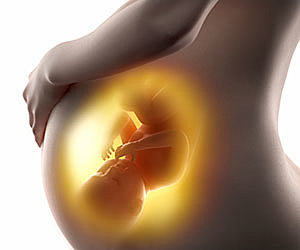 Periodo Fetal