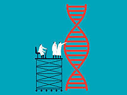 André Goffeau y colaboradores