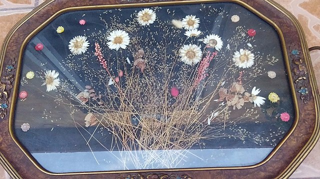 Actividad 7. Poesía y Resinas