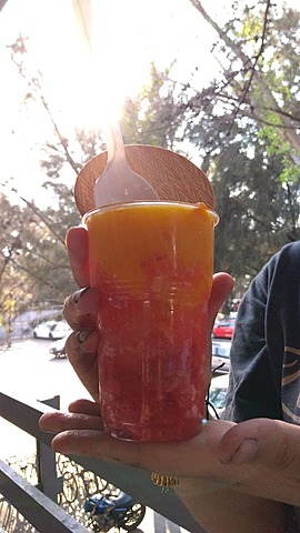 Actividad 8. Helados