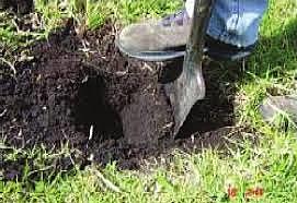 Recoleccion de muestras de suelo