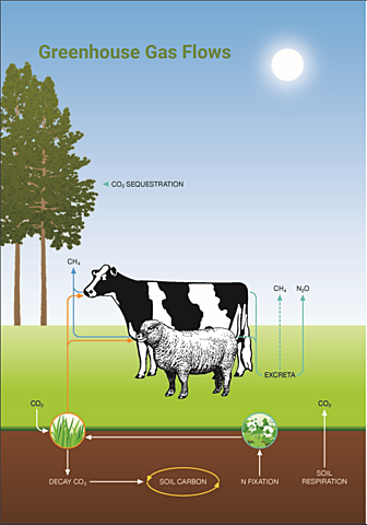 1.	Mitigation and cost of on-farm Greenhouse Gas Emissions