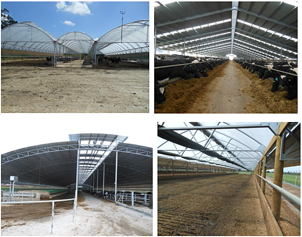 Economic & Environmental Analysis of Dairy Farms with Barns