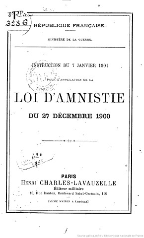 Loi d'amnistie