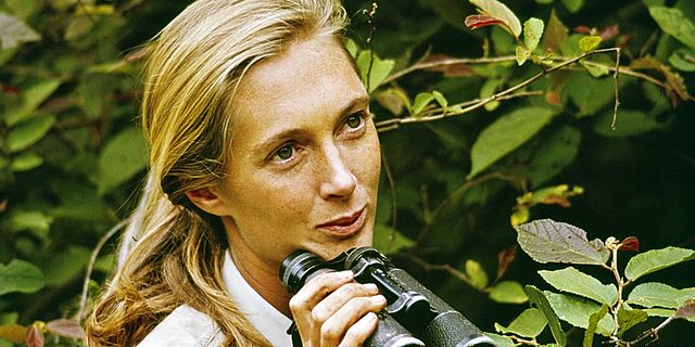 Jane Goodall