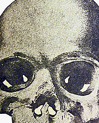 The Calaveras Skull is discovered in California.