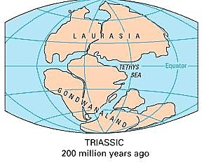 LA TIERRA EN LA ERA PRIMARIA (PALEOZOICO) 541 m.a