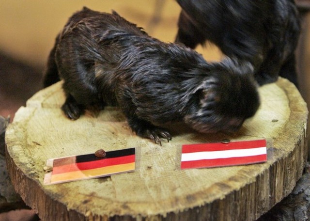 German Austrian Republic was proclaimed