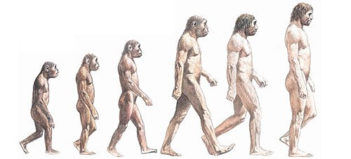 LA TIERRA EN LA ERA TERCIARIA (CENOZOICO) 66 m.a - ACTUALIDAD