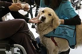 Bethel, Bielefeld (Alemania)