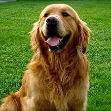 Samuel y Elisabeth Corson