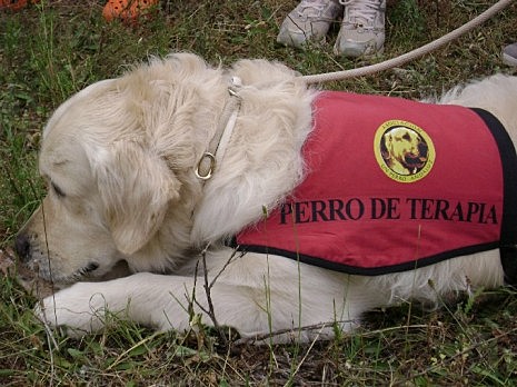 Asilo de York (Inglaterra)