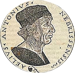 Elio Antonio Martínez de Cala (1441-1522)