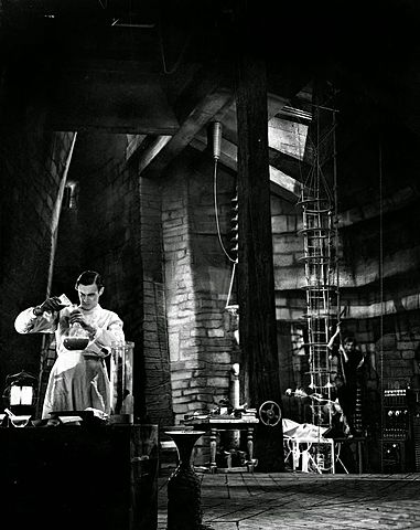 Víctor empezó a construir un ser de 2.5 metros de altura formado por la obtención de diferentes miembros de diversos cuerpos sacados de un cementerio