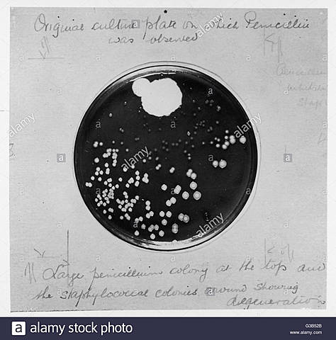 Discovery of Penicillin, First discovered.