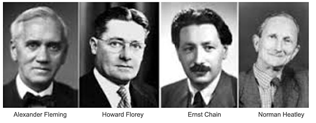 Discovery of Penicillin. Development of Penicillin. Many scientists worked together to develop and test the new drug so that it could be used on humans for the healing properties it provides.