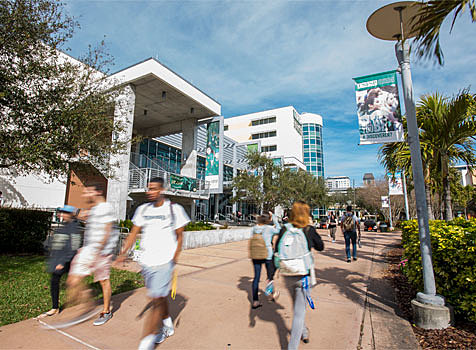 St. Petersburg Campus