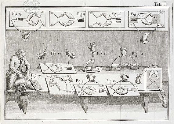 La esencia de la vida