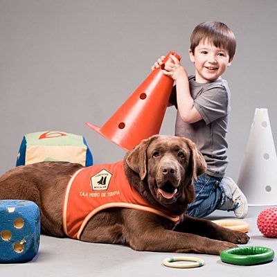 Timeline: Historia de las Intervenciones Asistidas por Perros