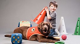 Timeline: Historia de las Intervenciones Asistidas por Perros