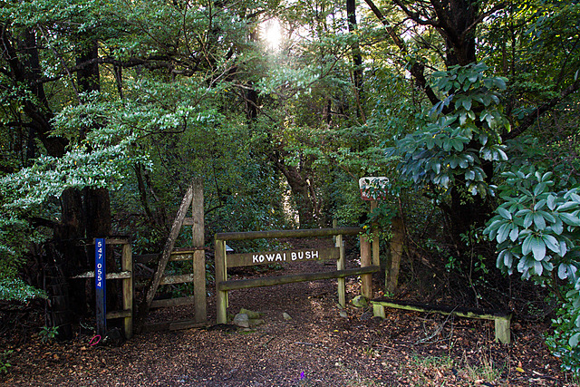 Kowai Bush- Canterbury