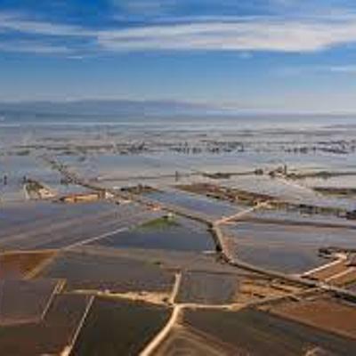 Timeline: Delta de l'Ebre