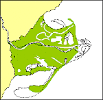 ES TANQUEN LES GOLES