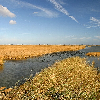 Timeline: La formació del Delta