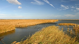 Timeline: La formació del Delta