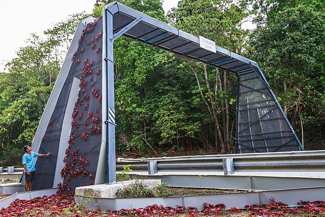 Christmas Island - Red Crab Bridge
